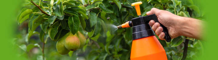 fungizid kategorieeinstiegsbanner 2876x800